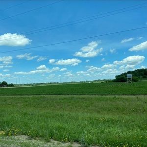 Meet your Posher, Suzie